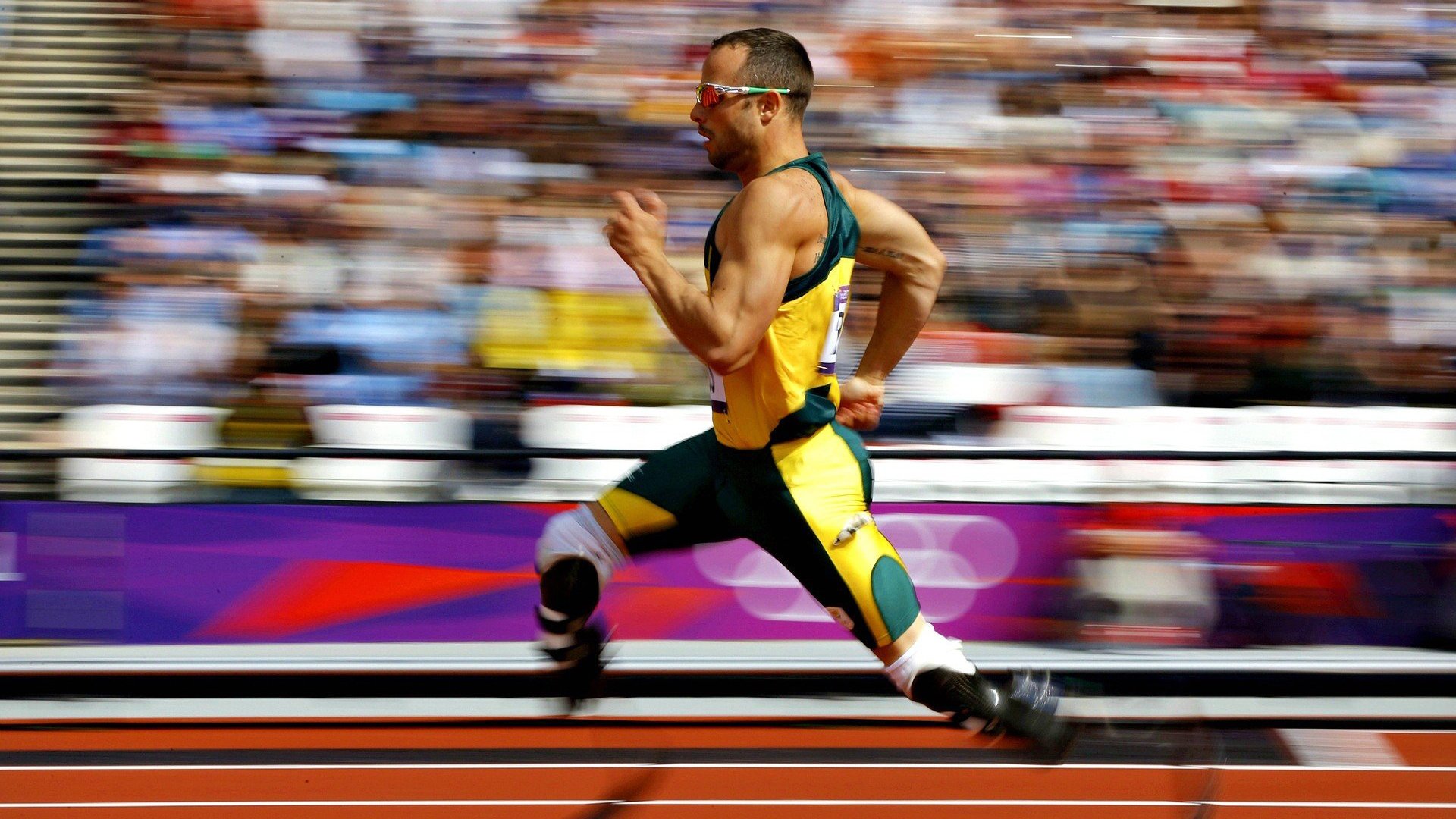 _自主研发智能跑步机：科技助力全民健康_，智能跑步机app