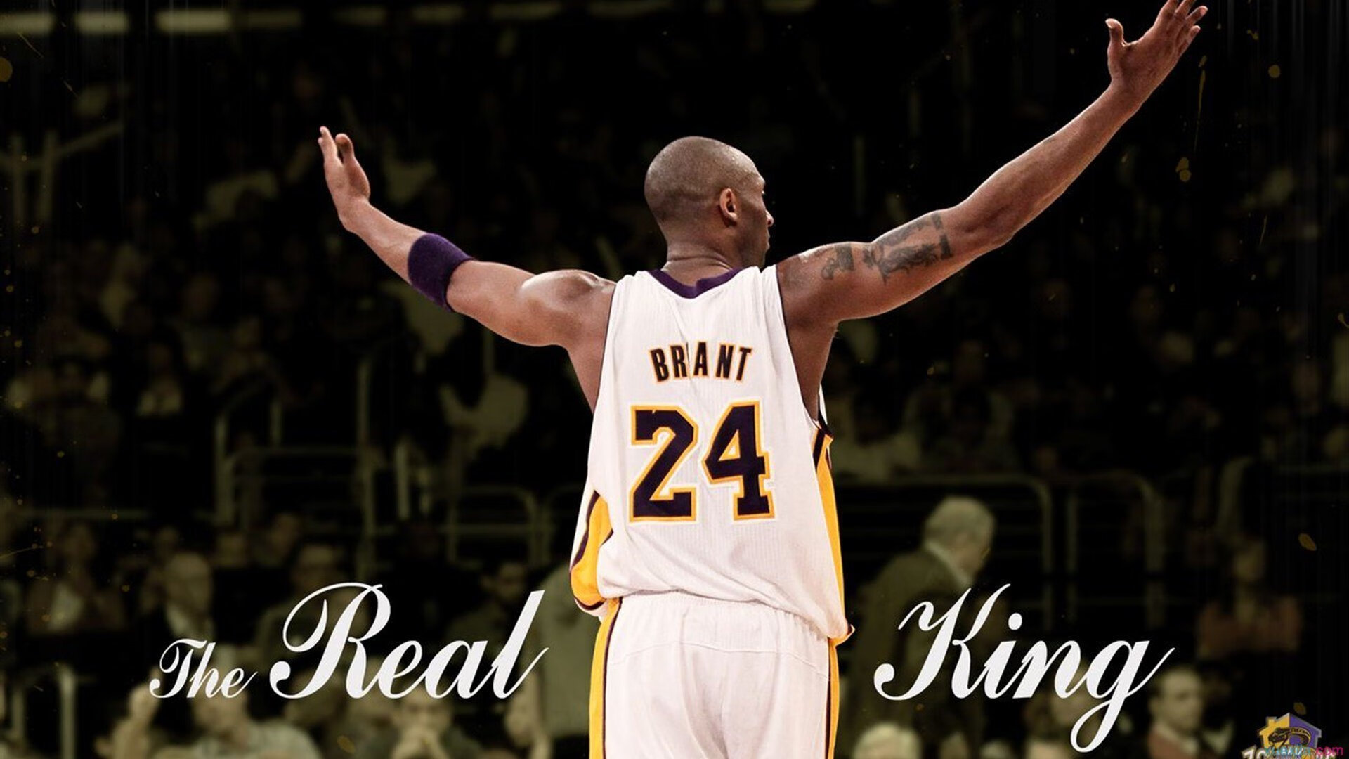 媒体广泛报道青训成果称其为本赛季发展速度最快的系统之一，媒体纷纷报道